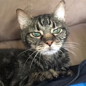 Meet your Posher, Jodie